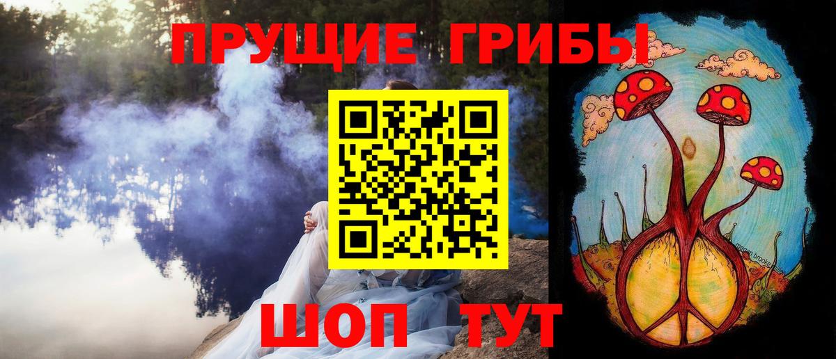 продажа наркотиков  Псилоцибиновые грибы ЛСД  Вход с VPN  Михайловка  Галлюциногенные грибы Psilocybe 