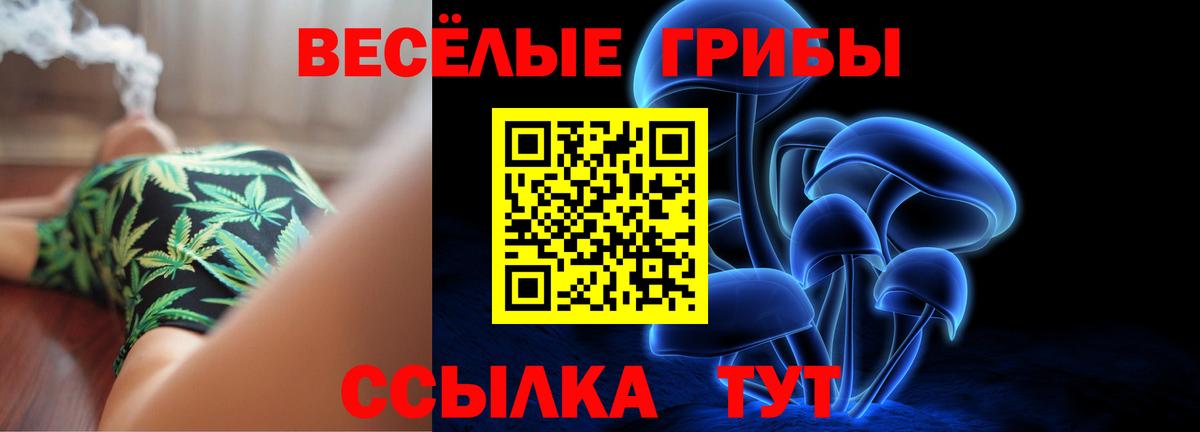 Галлюциногенные грибы мухоморы Михайловка