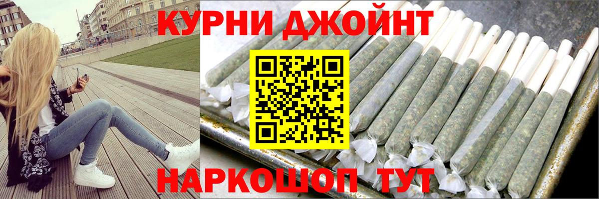 Конопля сатива Михайловка
